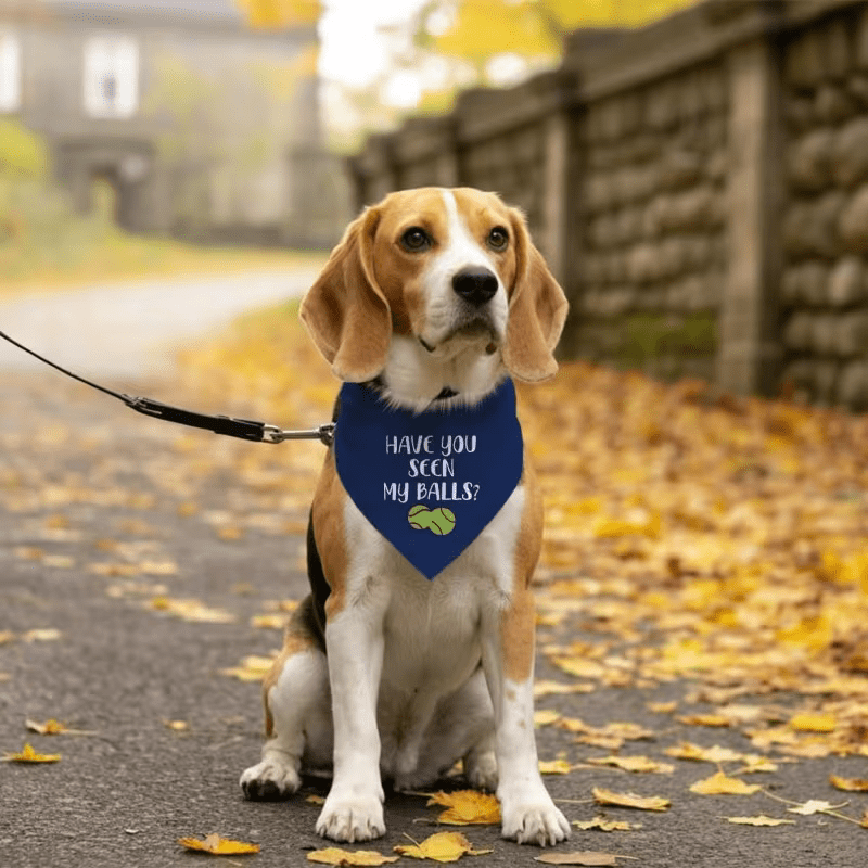 NEW "Have You Seen My Balls Dog Bandana" - FranksFunkyStuff