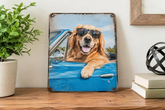Funny Novelty Signs for Home  That Get Laughs