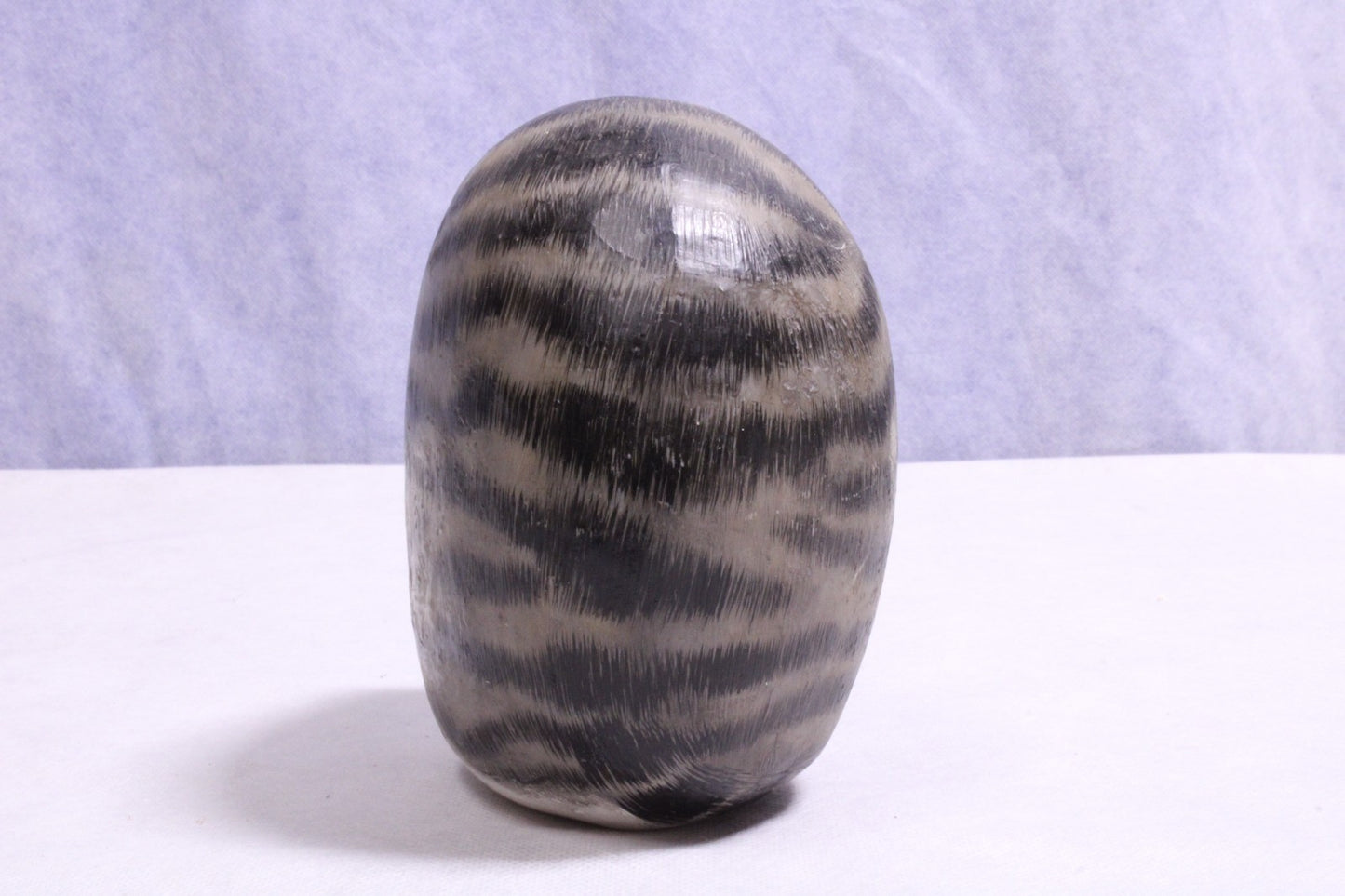 Hand Painted cat on rock Paper Weight2