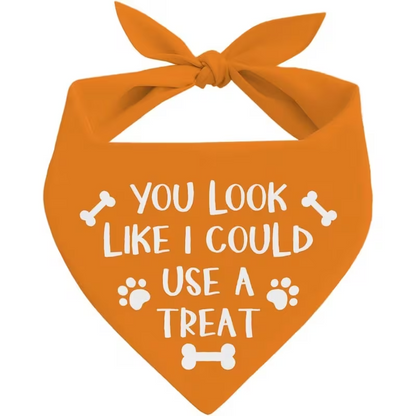 NEW Dog Bandana "You Look Like I Could Use a Treat" 0