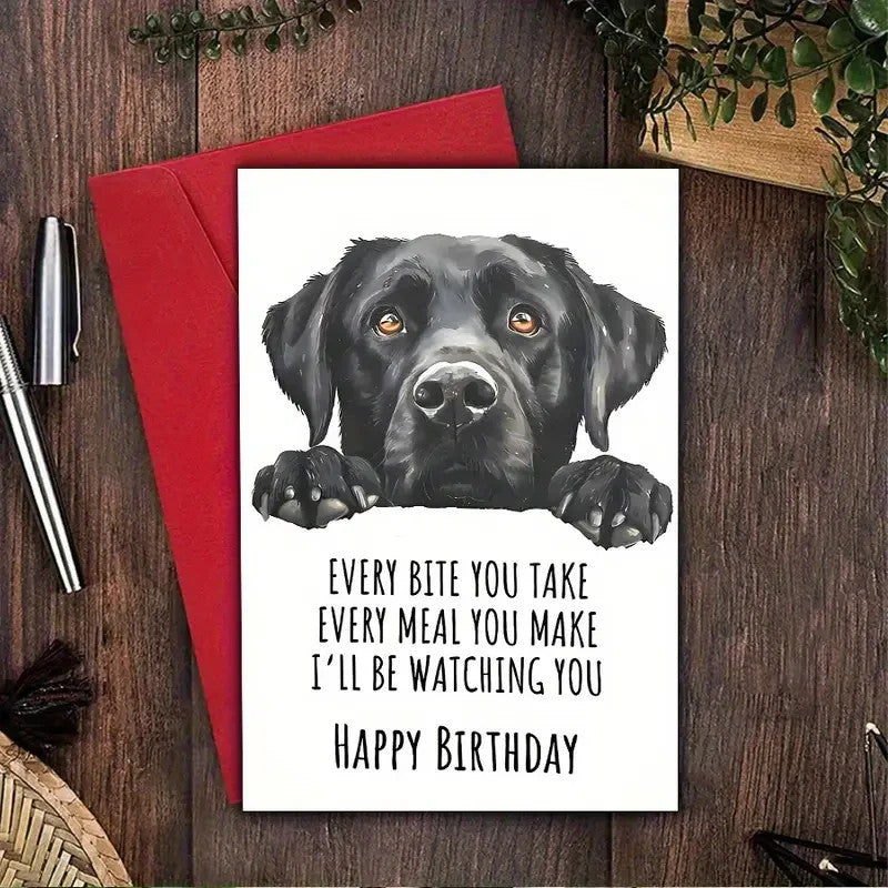 NEW Birthday Card, Funny Black Labrador Birthday Card3