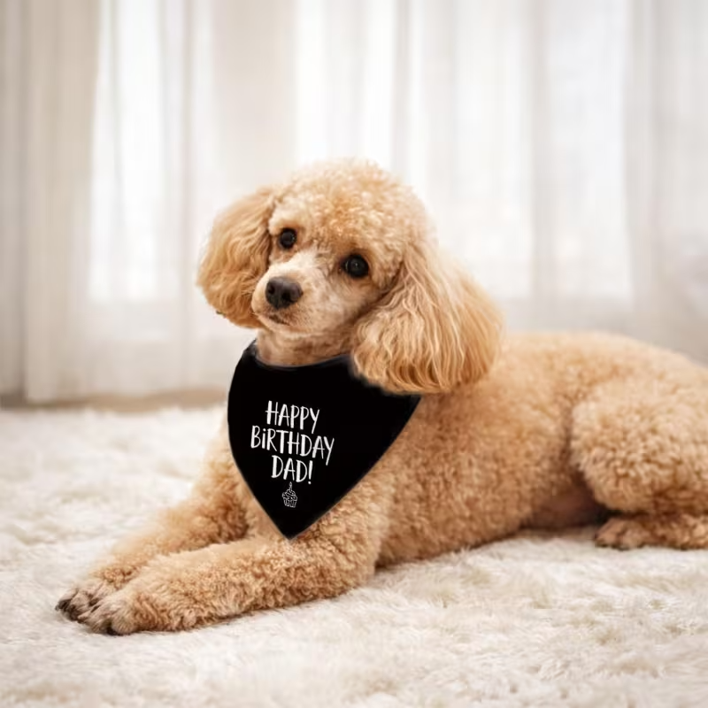 NEW Dog Bandana 24.8 X 11 Inches "Happy Birthday Dad" 3