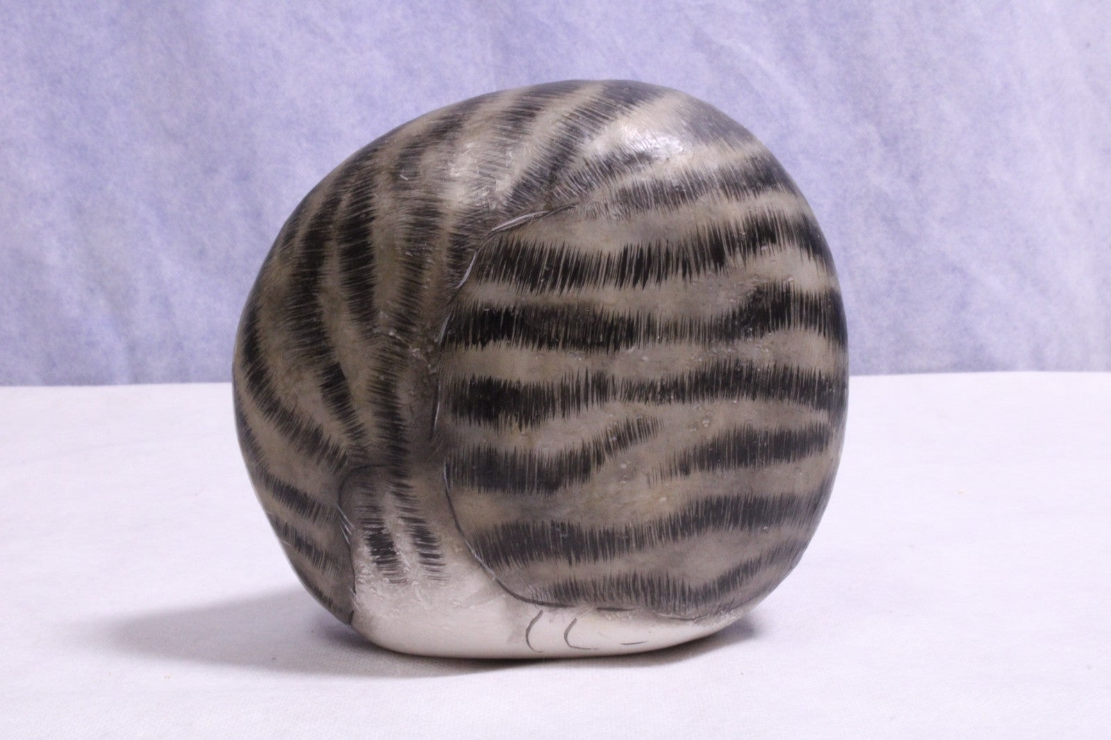Hand Painted cat on rock Paper Weight3