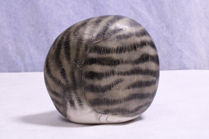 Hand Painted cat on rock Paper Weight3