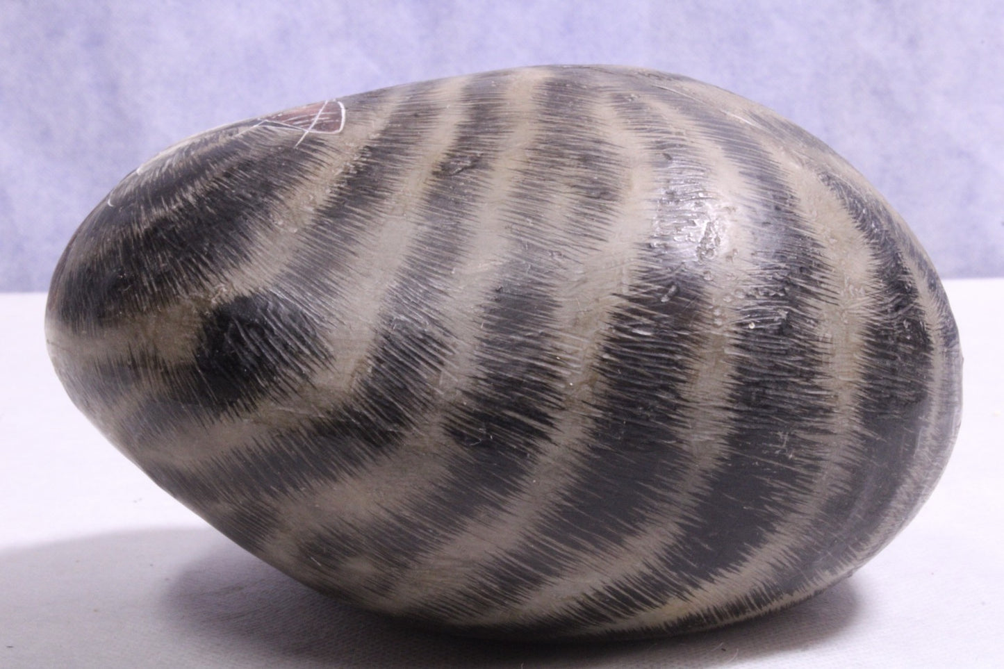 Hand Painted cat on rock Paper Weight6