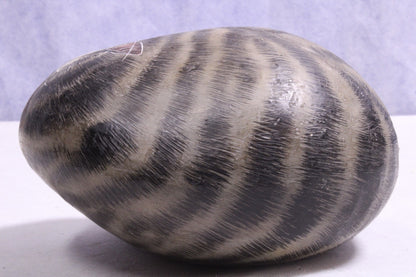 Hand Painted cat on rock Paper Weight6