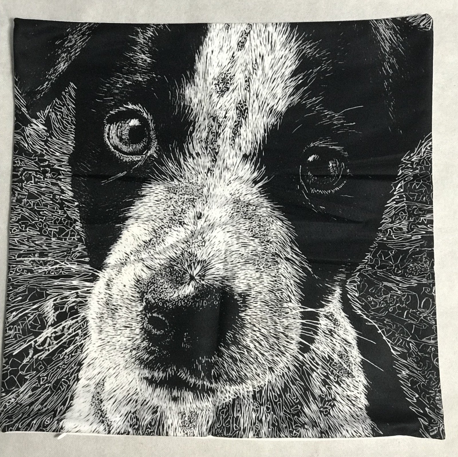 NEW Australian Cattle Dog Blue Heeler Pup  Pillow Cover (1)0