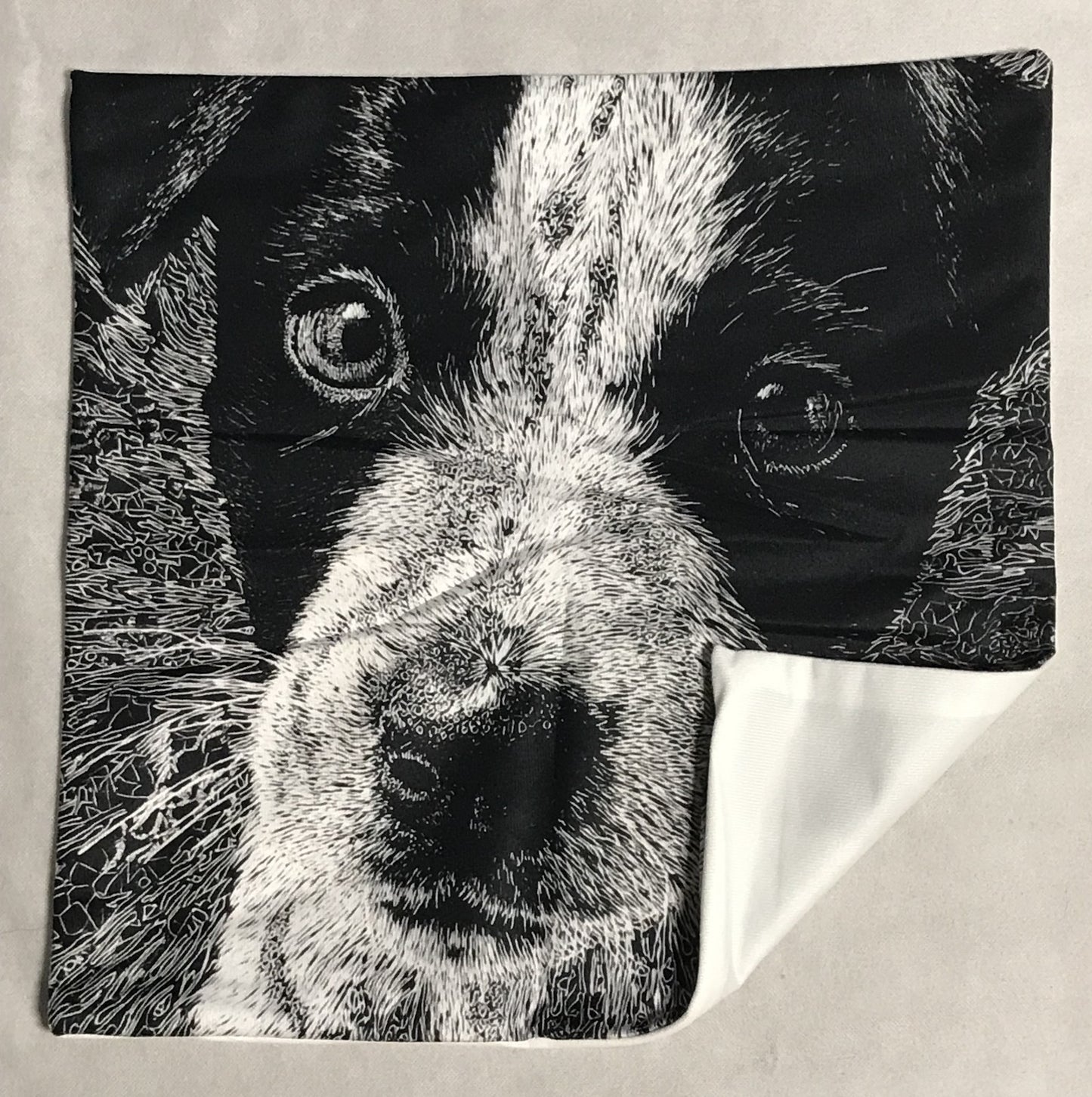 NEW Australian Cattle Dog Blue Heeler Pup  Pillow Cover (1)1