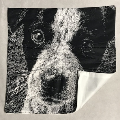 NEW Australian Cattle Dog Blue Heeler Pup  Pillow Cover (1)1