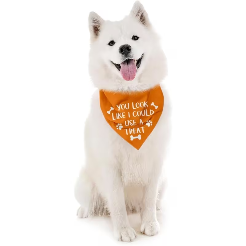 NEW Dog Bandana "You Look Like I Could Use a Treat" 1