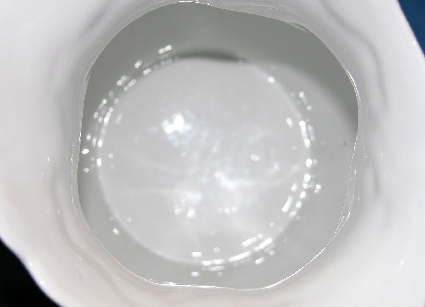 J.B. Rodriguf El Deposita Sevilla / A.P. Foecy - Limoges Iris Flower water Pitcher - FranksFunkyStuff