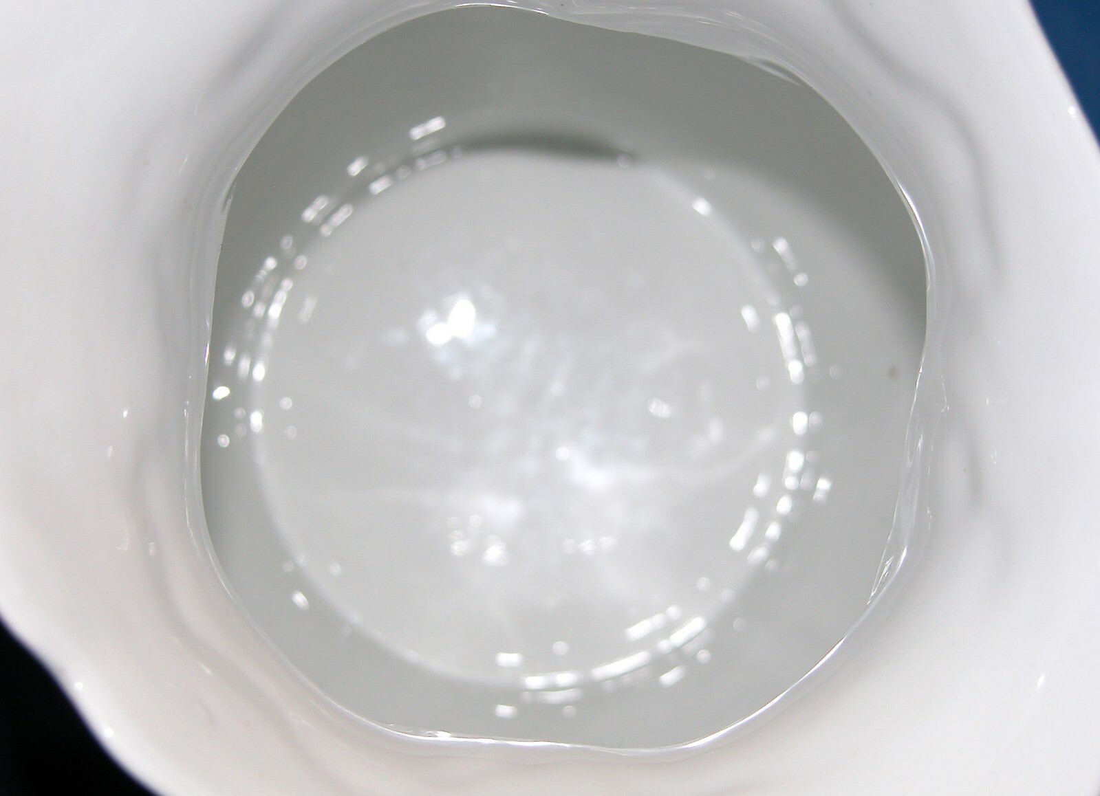J.B. Rodriguf El Deposita Sevilla / A.P. Foecy - Limoges Iris Flower water Pitcher - FranksFunkyStuff