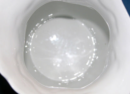 J.B. Rodriguf El Deposita Sevilla / A.P. Foecy - Limoges Iris Flower water Pitcher - FranksFunkyStuff
