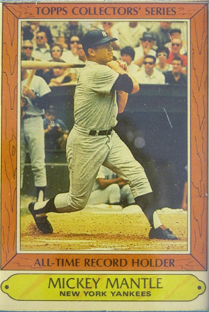 NEW 1985 Baseball Topps Woolworth All - Time Record Holders , Mounted and Framed - FranksFunkyStuff