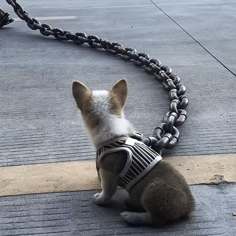 NEW 59-Inch Dog Leash for Outdoor Use, Humorous Joke Chain - FranksFunkyStuff