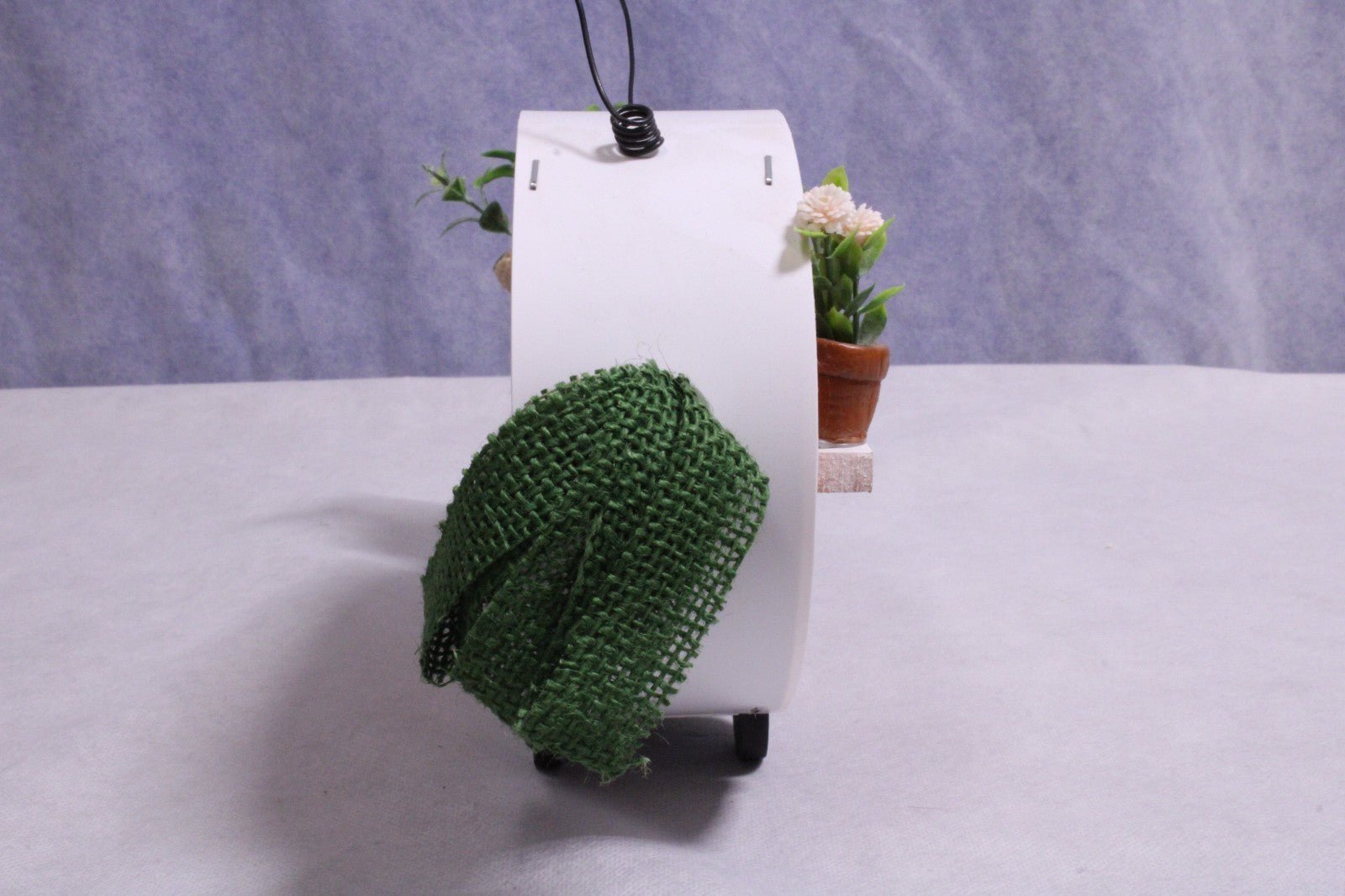 NEW Ashland Carrot Trailer Birdhouse - FranksFunkyStuff