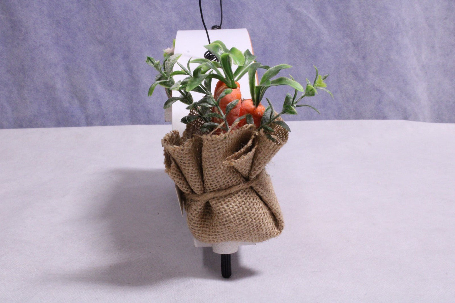 NEW Ashland Carrot Trailer Birdhouse - FranksFunkyStuff