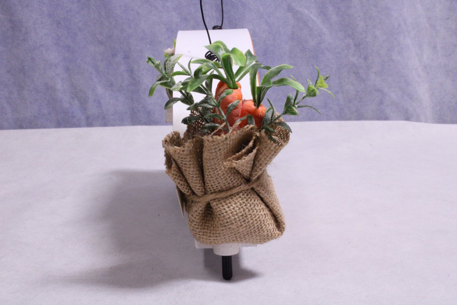 NEW Ashland Carrot Trailer Birdhouse - FranksFunkyStuff