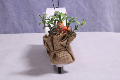NEW Ashland Carrot Trailer Birdhouse - FranksFunkyStuff