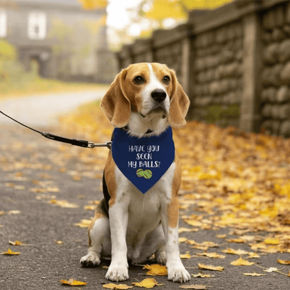 NEW "Have You Seen My Balls Dog Bandana" - FranksFunkyStuff