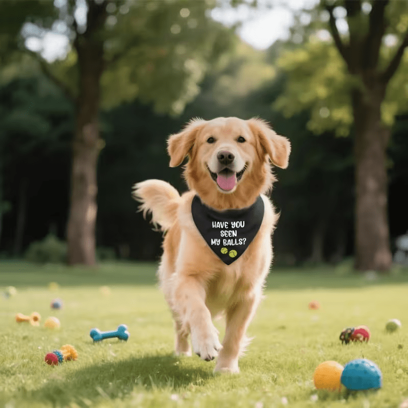 NEW "Have You Seen My Balls Dog Bandana" - FranksFunkyStuff