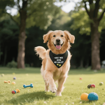 NEW "Have You Seen My Balls Dog Bandana" - FranksFunkyStuff