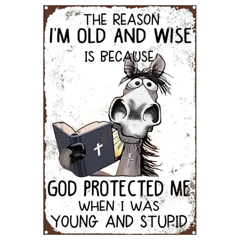 NEW Vintage Style God 'I'm Old and Wise' Metal Sign with Humorous Quote - FranksFunkyStuff