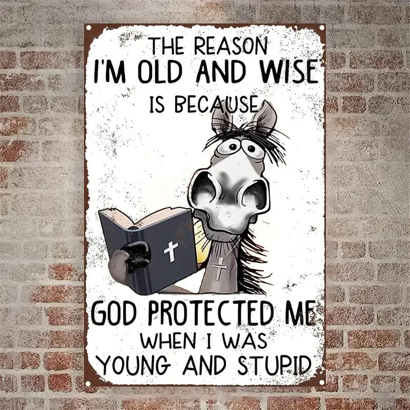 NEW Vintage Style God 'I'm Old and Wise' Metal Sign with Humorous Quote - FranksFunkyStuff