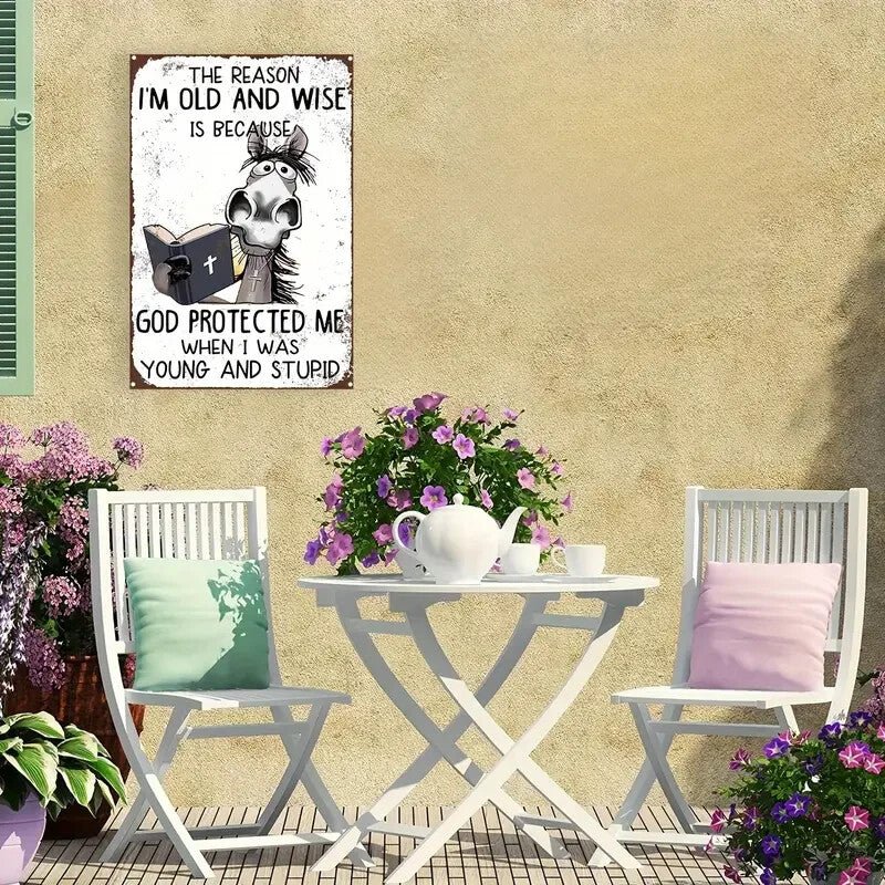 NEW Vintage Style God 'I'm Old and Wise' Metal Sign with Humorous Quote - FranksFunkyStuff