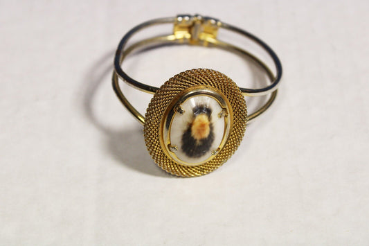 Vintage Costume Jewlery Gold Color Sea Shell Mounted Bracelet - FranksFunkyStuff