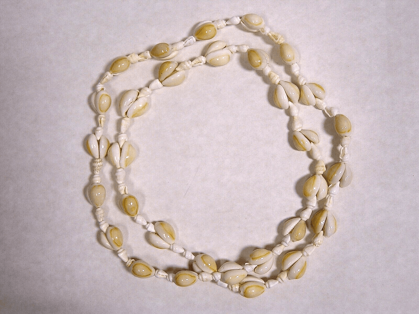 Vintage Seashell Necklace STATEMENT 34" Pullover Mini Conch Shells - FranksFunkyStuff