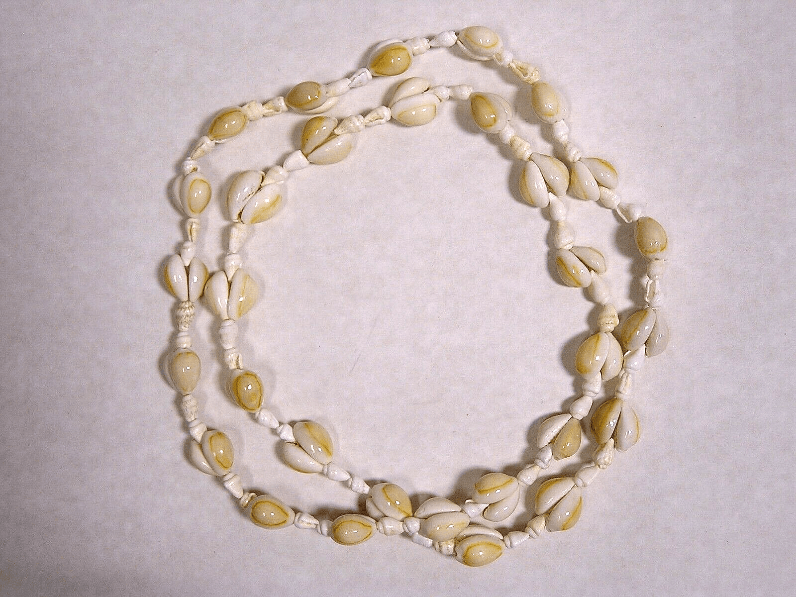 Vintage Seashell Necklace STATEMENT 34" Pullover Mini Conch Shells - FranksFunkyStuff