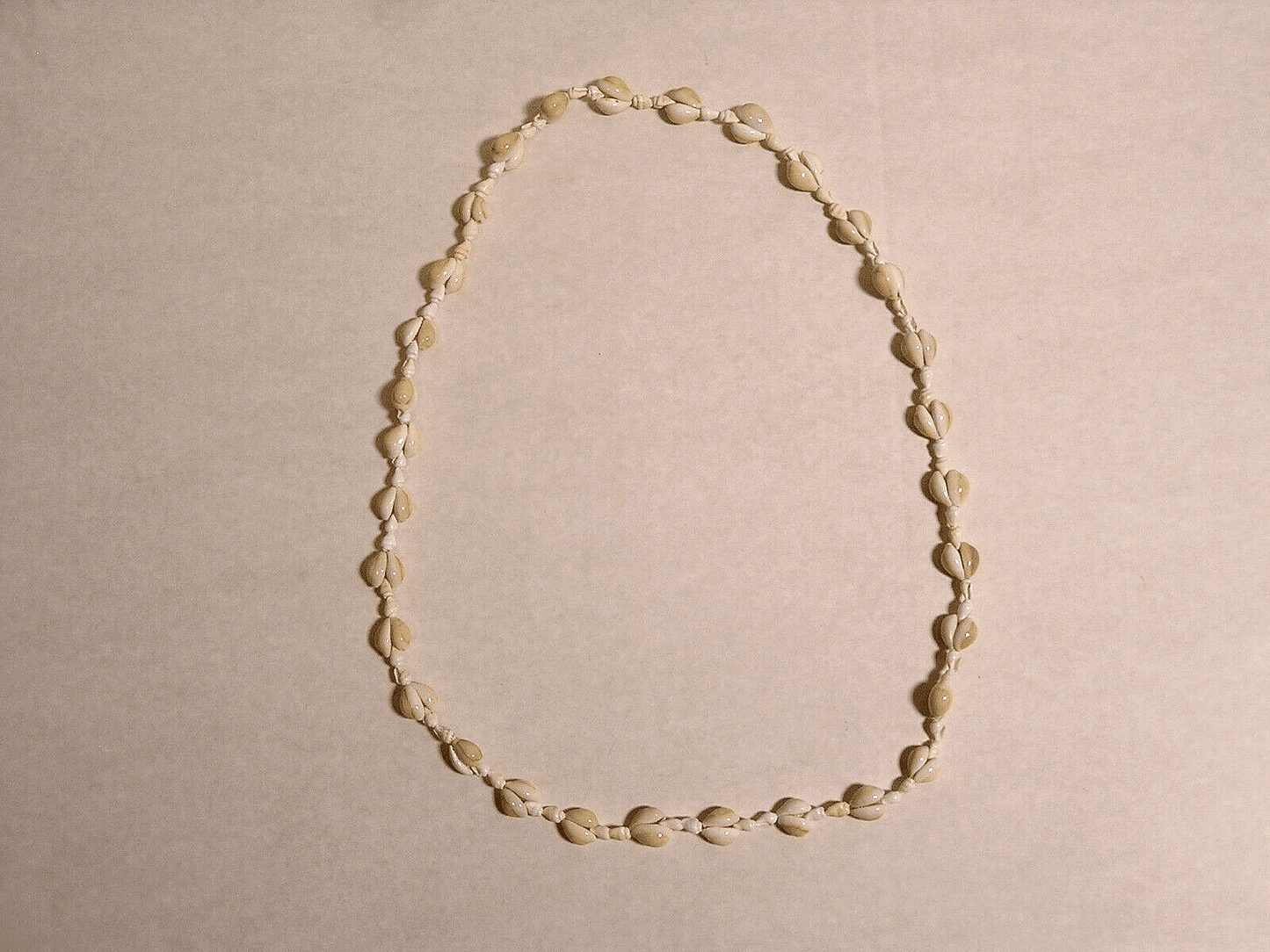 Vintage Seashell Necklace STATEMENT 34" Pullover Mini Conch Shells - FranksFunkyStuff