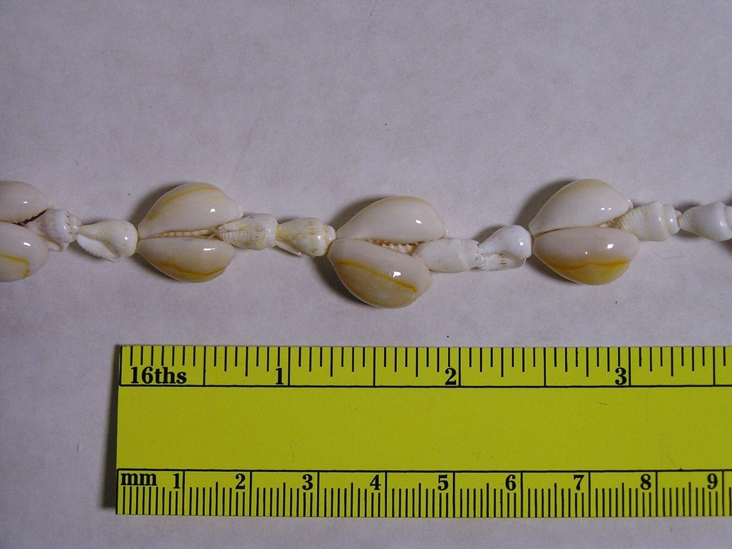 Vintage Seashell Necklace STATEMENT 34" Pullover Mini Conch Shells - FranksFunkyStuff