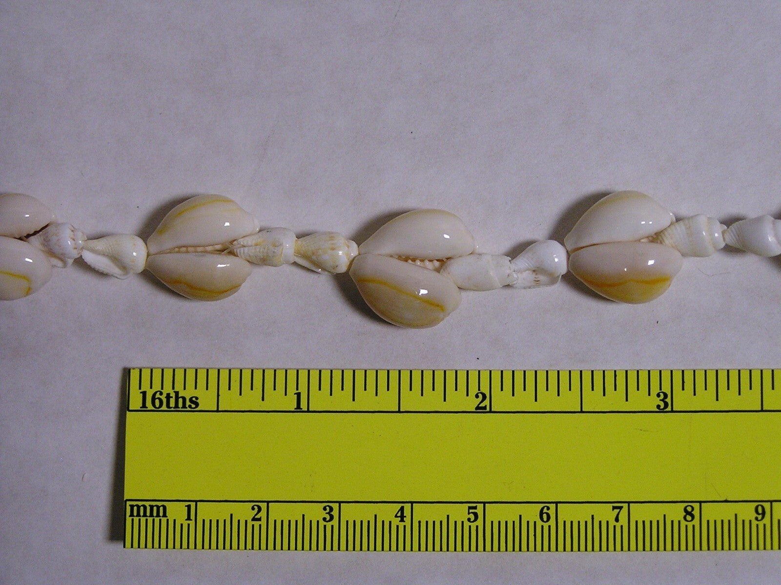 Vintage Seashell Necklace STATEMENT 34" Pullover Mini Conch Shells - FranksFunkyStuff
