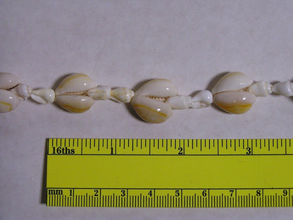 Vintage Seashell Necklace STATEMENT 34" Pullover Mini Conch Shells - FranksFunkyStuff